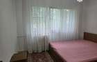 Apartament cu 4 camere decomandat în Nicolae Grigorescu - 4