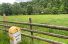 Teren intravilan de 2750 mp, în Brebina - 3