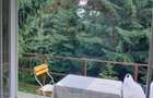 Cabana de vanzare in Muntele Bai?orii Zona Jera - 15