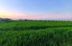 TEREN DE VANZARE 4.9 Hectare - 2
