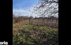 Casa cu Teren Generos. De Locuit sau Afacere. Ro?iori Bihor (DN19) - 6