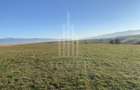 Teren agricol extravilan de 650 mp, în Daia - 2