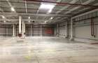 Depozit/hala/spatiu industrial Chiajna - A1 - Centura - 5