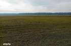 Teren extravilan 635 mp Harsesti, ID: R2922302 - 8