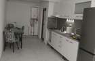 Apartament ,regim hotelier - 5