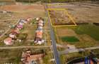 Teren pentru parcelare, 19000 mp, Pischia, comision 0 - 3