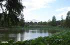 Metrou Stefan cel Mare! View spectaculos parcul circului - ap 3 camere - 7