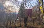 Teren intravilan Breaza 4,000mp cu utilitati. Panorama. Intimitate. - 5