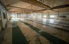 Spațiu industrial, de 15,533 mp, în Freidorf - 8