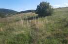 Teren Construcții intravilan de 908 mp, în Sălicea - 2