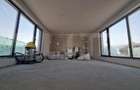 Casa cu 4 camere, 275 mp, zona Big-Manastur - 12