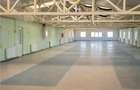 Hala multifunctionala de vanzare, Prejmer, Brasov - 5