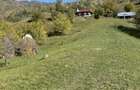 Teren intravilan de vanzare - 5