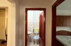 Apartament cu 3 camere decomandat în Nufărul - 15