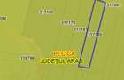 Vand teren agricol 3,9 ha Pecica (zona Turnu) liber de contract - 1