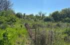 Teren de 2000 mp, în Văcăreasca - 2