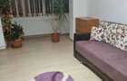 Apartament cu 2 camere decomandat în Malu Roșu - 4