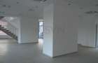 REC0000626 Spatiu showroom PARTER si MEZANIN - 4