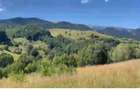 Teren extravilan 46.050 mp, Sat ?irnea, Comuna Fundata! - 4