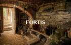 Casa de vanzare in Fagaras, zona 13 Decembrie 0% COMISION - 10
