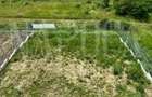 Casă cu 4 camere cu Canalizare în Borhanci - 5