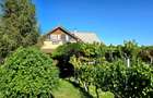 casa 3 camere Viile Satu Mare - 12