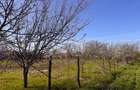 Teren de 1534 mp, în Tomulești - 5