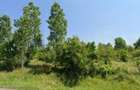 Teren cota parte 1/3 Cocorastii Mislii, ID: R2949920 - 8