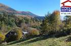 3600 mp teren intravilan, sat Bistrita, 12 Euro mp - 4