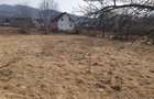 Teren Viseu de Sus Simion Barnutiu(zona Peny) - 2
