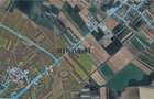 Teren intravilan agricol de vanzare Satu Mare | Botizului | 11.500 mp - 1
