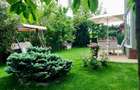 Vila P+1, Tomis Plus-Boreal, 250 mp, proprietar - 14