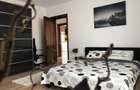 Parcul Carol, de inchiriat ap 2 camere - 4