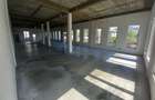 Spatiu comercial sau birouri Burdujeni demisol+parter 460 mp. 8E/mp. - 6