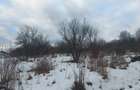 Vand teren in Baia Sprie 8 ari - 4