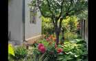Vand casa in orasul corabia olt - 6