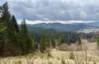Teren de vanzare 7649 mp - zona Sandru (Bucovina) - 2