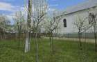 Casă cu 2 camere în Poclușa de Barcău - 5