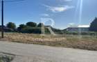 Teren de inchiriat | Acces rapid la E60 | Bihor - 2