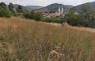 Vand teren intravilan in Nasaud pe strada Locotenent Nicolae - 4