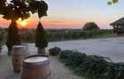 Proprietate istorică , crama +vie DOC + distilerie +loc. evenimente+ 20000 vin - 7