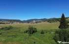 Teren in Bucovina! La Munte! De ! 0727817187 - 4