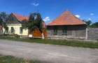 Casa de vanzare cu 2 parcele Jamu Mare (70 km de Timi?oara) - 2