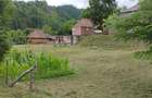 Casa de caramida la rosu, 3765mp teren intravilan, Valea Ariesului, AB - 5