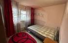 Apartament Brazda la 2 minute de Baba Novac - 3