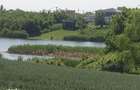 Teren apropiere lac Balotesti, 21500 eur - 10