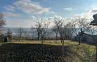 Vand Casa PLATOUL Cornesti str. CORNESTI- teren 1150 mp - 5