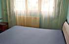 Apartament cu 3 camere decomandat în Nufărul - 8