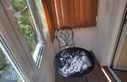 Apartament de inchiriat - 5