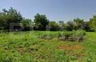Casă individuală cu 4 camere cu Canalizare în Viișoara - 3